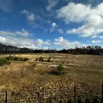 Foresta Redliny