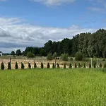 Foresta