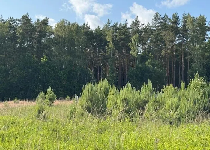 Foresta Apartamento Redliny